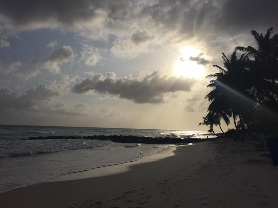 16508432_10154318924537361_5644919974716199584_n