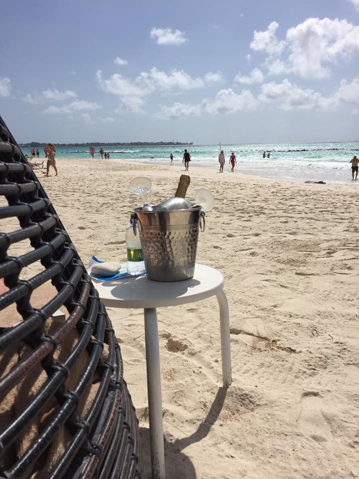 16683935_10154318924877361_7470314997332349682_n