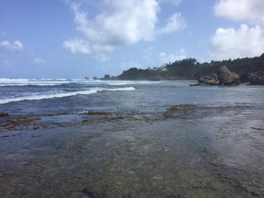 16708580_10154318924507361_4903767831438092692_n