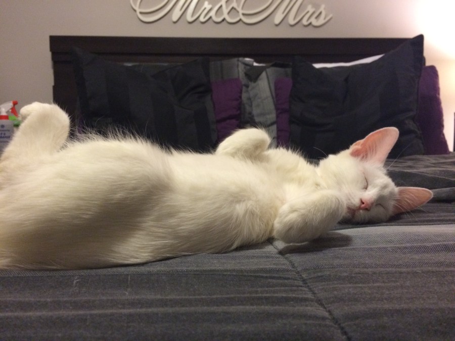 1841A9DA-C627-49EF-A2FB-3F07ED822A83