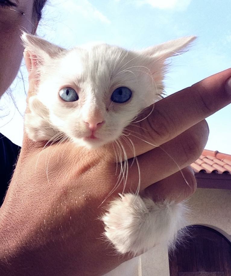 D5D98912-27C1-4A82-ACE3-754048811F1D