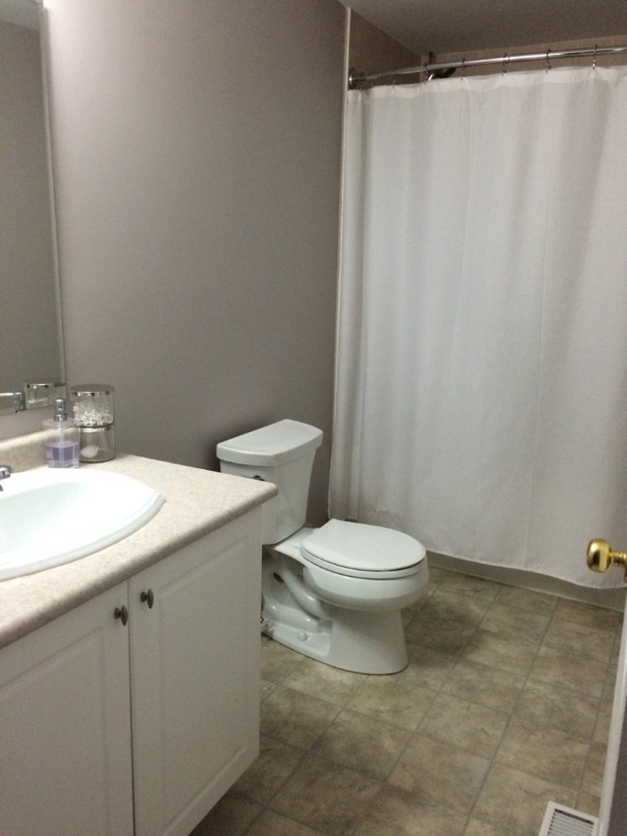 Bathroom Before